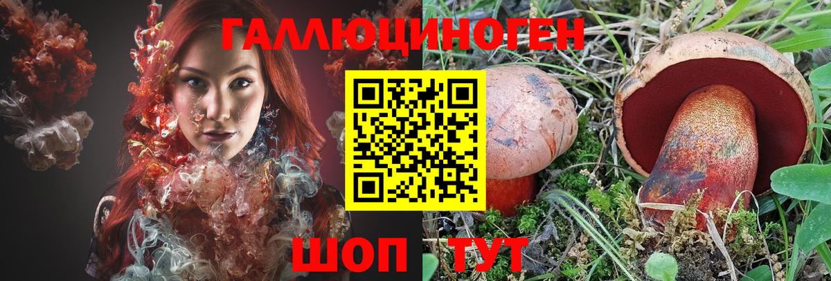 Псилоцибиновые грибы прущие грибы Майский