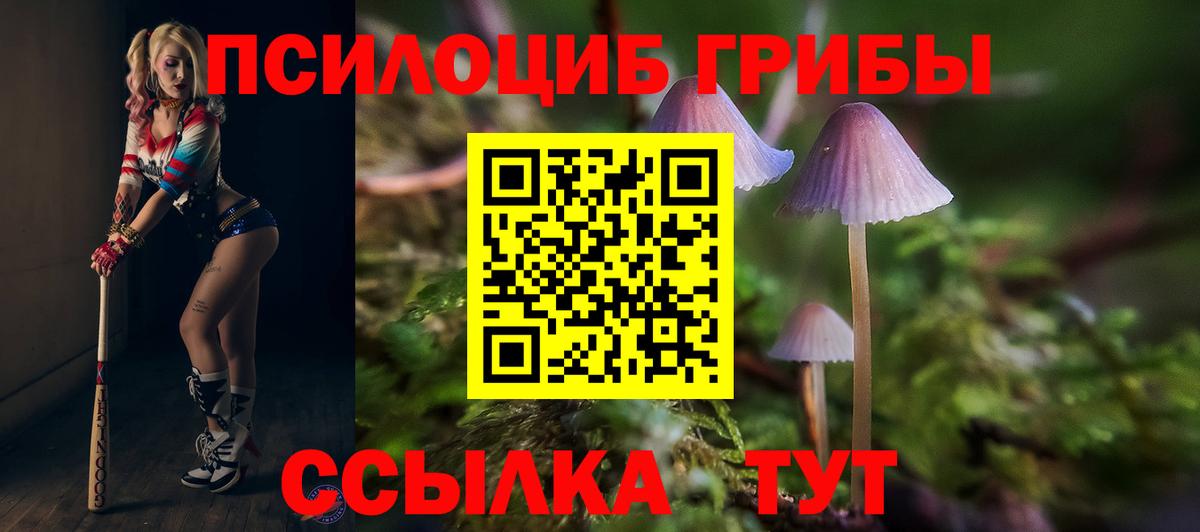 хочу   Вход с VPN  Майский  Галлюциногенные грибы Psilocybine cubensis 